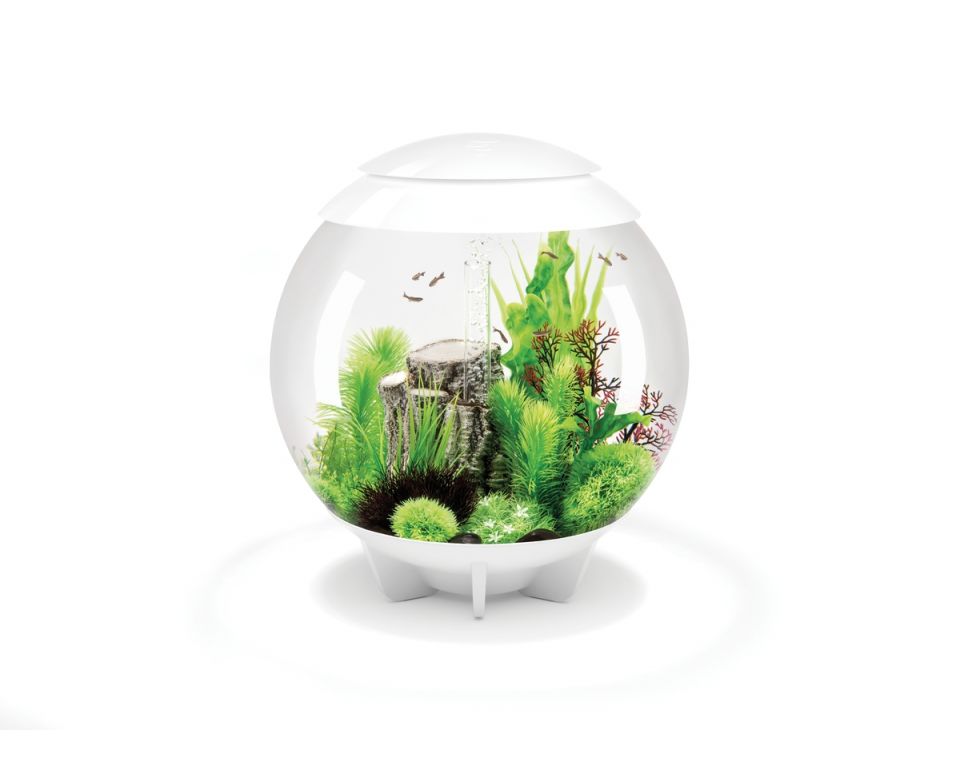 Oase biOrb Halo 60 MCR wit - 
