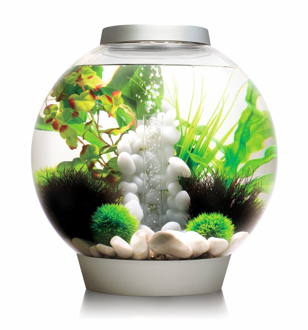 Biorb Classic 30 mcr zilver - 