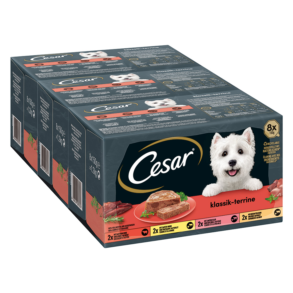 Cesar 96x150g  Classic Terrine Hondenvoer