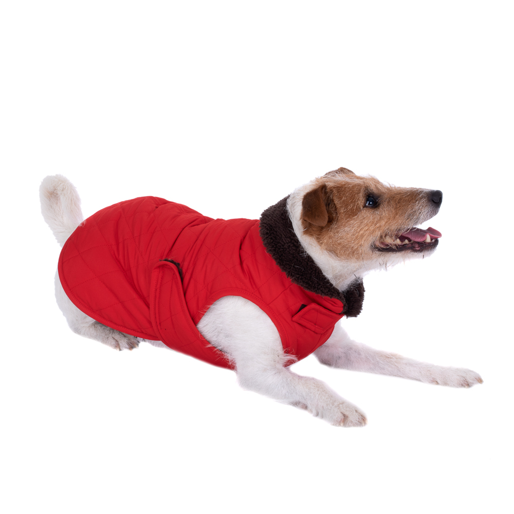 Zooplus Exclusive 60 cm Ruglengte Hondenjas Gewatteerd Rood