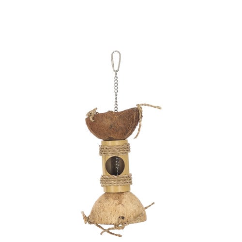 Adori Bamboo Explorer