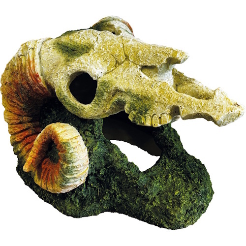 Repto Deco Goat Skull