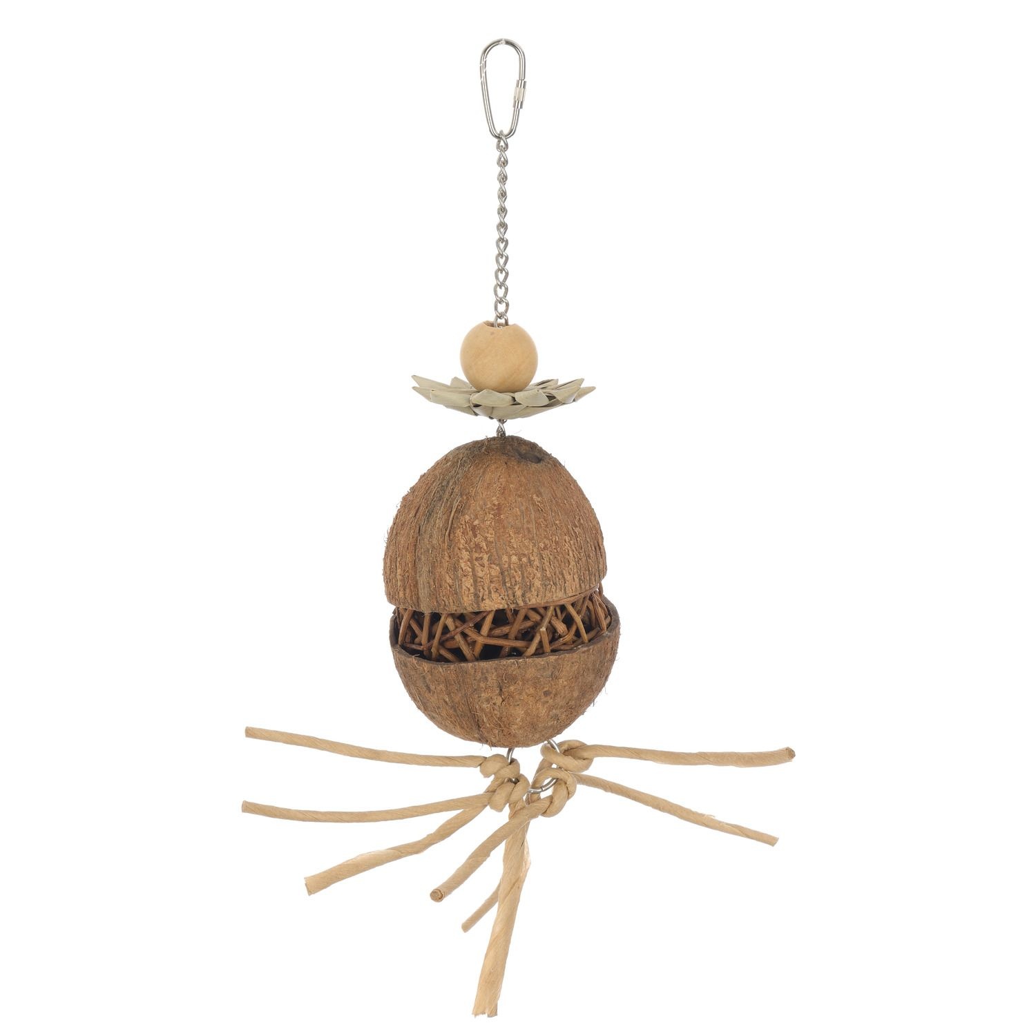 Adori Coconut Zombie