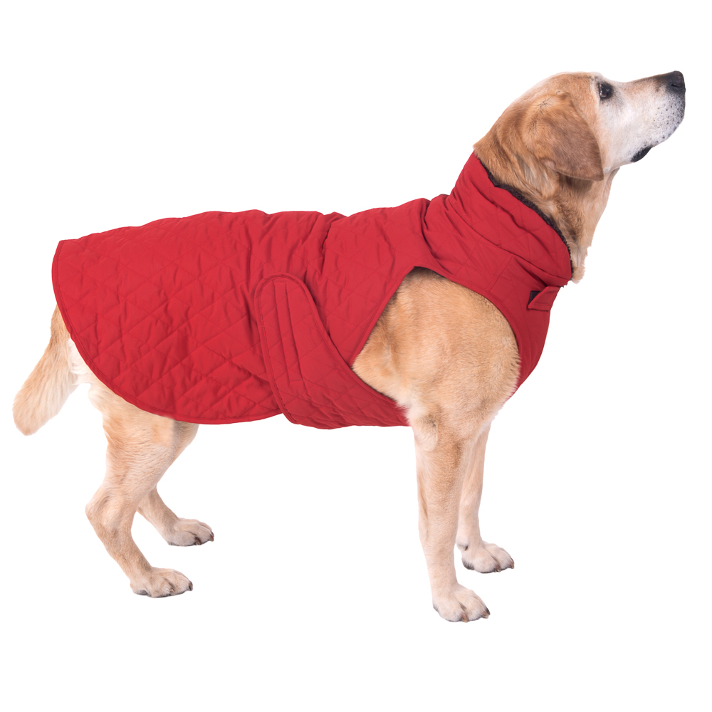 Zooplus Exclusive 70 cm Ruglengte Hondenjas Gewatteerd Rood