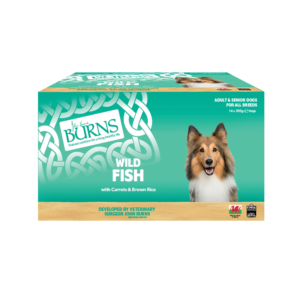 Burns natvoer voor honden 16 x 395 g - Vis