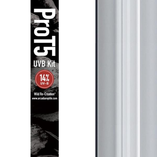 Aquadistri Pro t5 set dragon 14% uvb 54 watt Arcadia - 