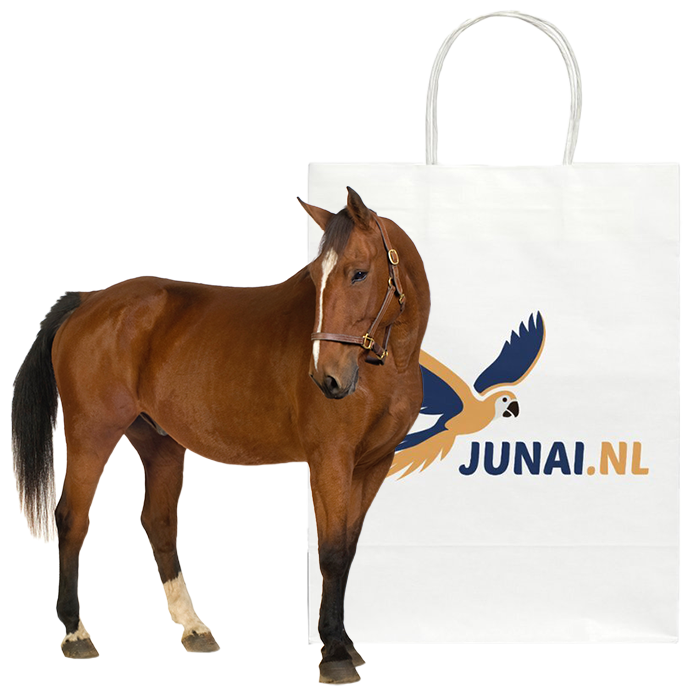 Junai.nl Verrassingspakket Paard