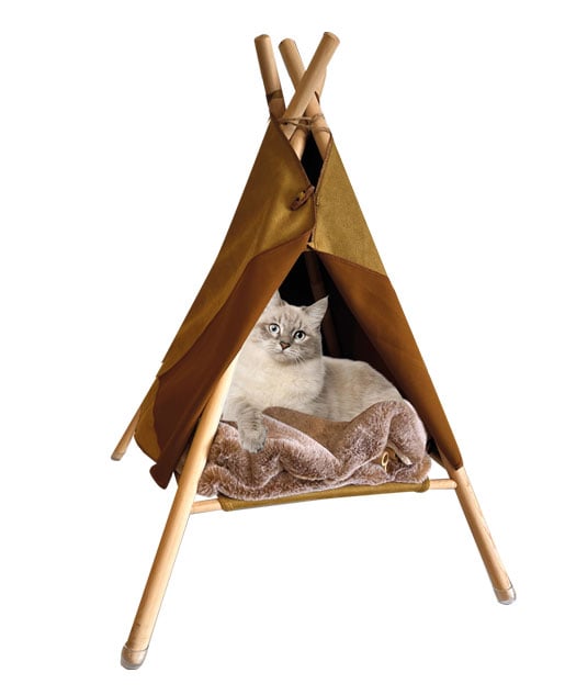 Quapas! Tipi Tent