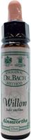 Ainsworths Willow bach 10ml