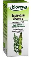 Biover Equisetum arvense tinctuur 50ml