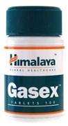 Holisan Gasex Tabletten 100st
