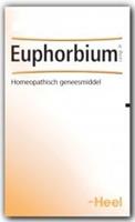 Heel Euphorbium Compositum Druppels 30ml