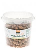 Mattisson HealthStyle Absolute White Mulberries