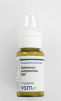 Vsm Gelsemium Semper D30 Globuli 200st