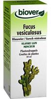Biover Fucus vesiculosus tinctuur 50ml