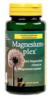 Venamed Magnesiumplex Capsules 90st