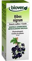 Biover Ribes nigrum 50ml