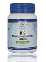 Vitakruid B12 Methylcobalamine 5000µg Smelttabletten