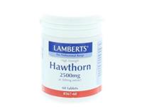 Lamberts Hawthorn 2500mg 60 tabletten