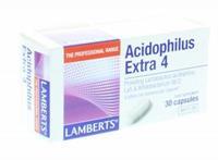 Lamberts Acidophilus extra 4 30 capsules