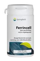 Springfield Ferrincell