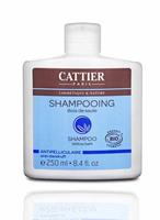 Cattier Shampoo Anti Roos