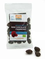 Mattisson HealthStyle Snack Raw Chocolate Cranberry