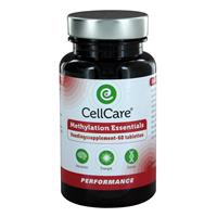CellCare Methylation Essentials (60tb)