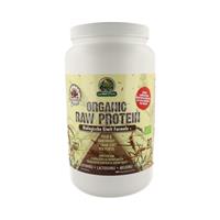 Garden Of Life Organic Raw Protein Chocolade