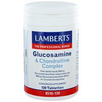 Lamberts Glucosamine en Chondroitine L8516-120