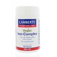 Lamberts Ijzer Complex Vegan (120tb)
