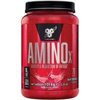 BSN Supplements Amino X 1015gr Watermelon