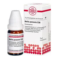 DHU Bellis Prennis C30