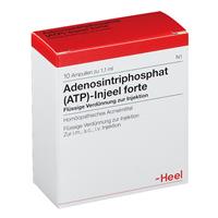 Heel Adenosintriphosphat (ATP)-Injeel forte Ampullen