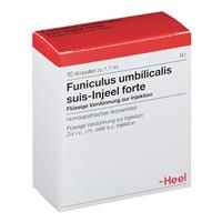 Heel Funiculus umbilicalis suis-Injeel forte Ampullen