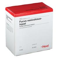 Heel Fucus vesiculosus-Injeel Ampullen