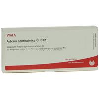 Wala Arteria ophthalmica Gl D 12