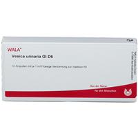 Wala Vesica urinaria Gl D 6