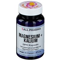 GALL PHARMA Magnesium + Kalium GPH
