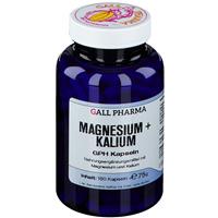 GALL PHARMA Magnesium + Kalium GPH Kapseln