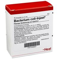 Heel Bacterium coli-Injeel Ampullen