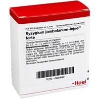 Heel Syzygium jambolanum-Injeel forte Ampullen