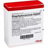 Heel Staphylococcus-Injeel Ampullen