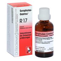 Dr. Reckeweg Scrophulae-Gastreu R17 Tropfen