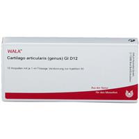 Wala Cartilago articularis genus Gl D 12