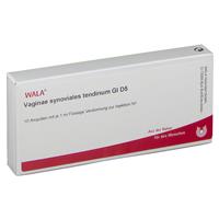 Wala Vaginae synovialis tendinum Gl D 5