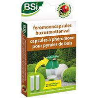 2 Feromonen Voor De Buxusmottenval - Buxusmot - BSI
