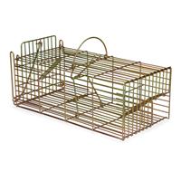 Ratten Inloopval - Ratten vangkooien - Ronada