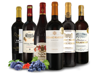 Joseph Castan Kennenlernpaket Rotweine  aus Südfrankreich