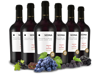 Farnese Vini Vorteilspaket 6 Flaschen Primitivo di Manduria SEDNA
